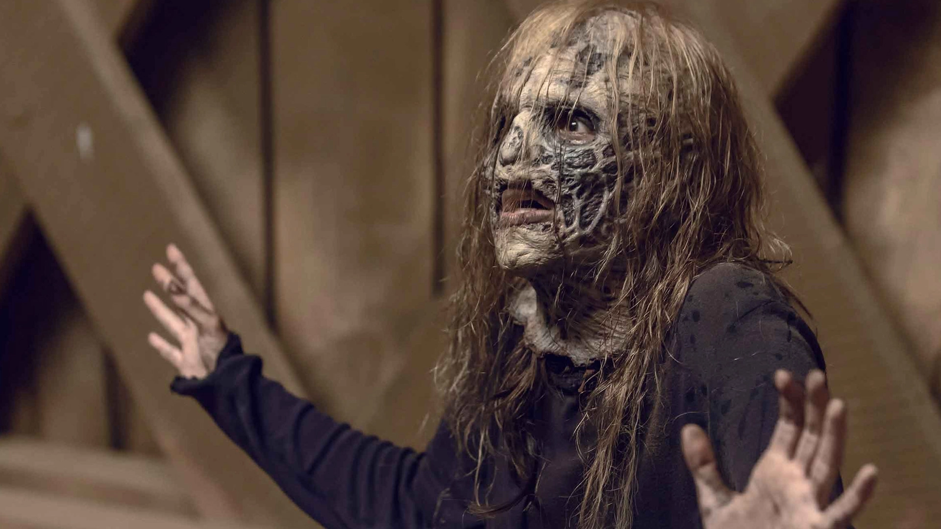 The Walking Dead S09 B09